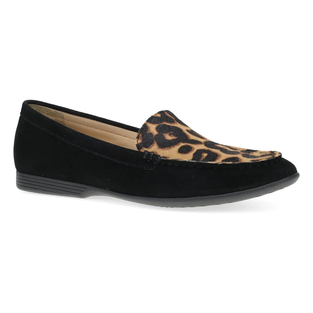 Lorri Suede