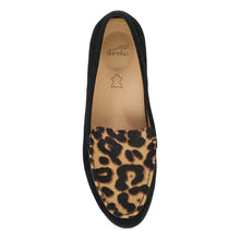 Lorri Suede