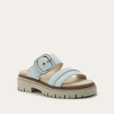 Mulberry