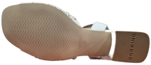 Larus
